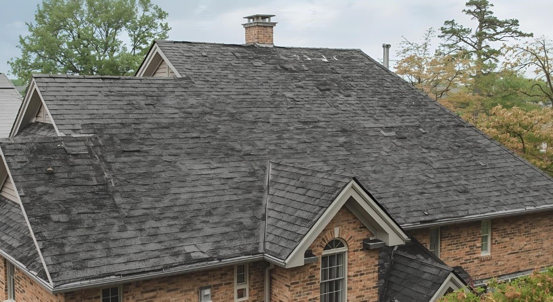 The Pros and Cons of Asphalt Shingle Roofing in South Florida