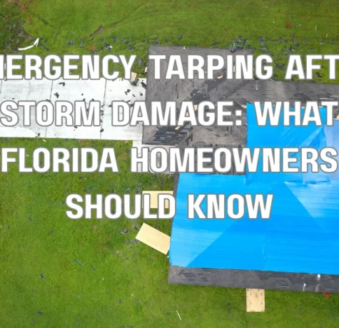 Comparison of asphalt shingles, metal roofing, and clay tiles showing wind-resistant roofing materials