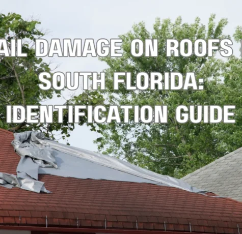 Hail Damage on Roofs in South Florida: Identification Guide