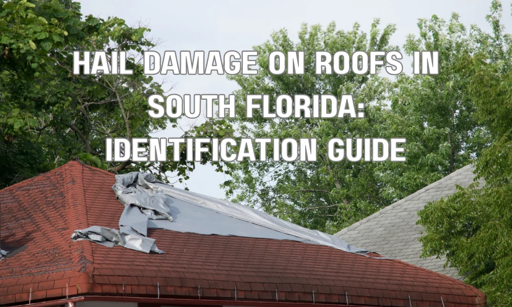 Hail Damage on Roofs in South Florida: Identification Guide
