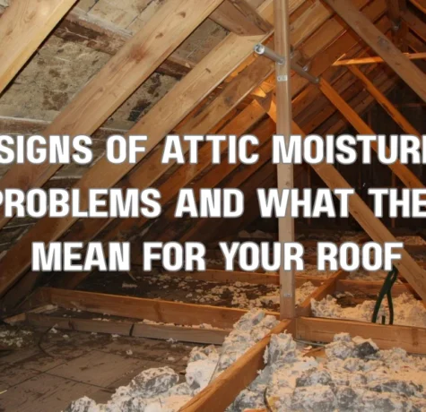A stylized, split-diagram illustration highlighting internal attic views versus external roof views. The left side, 'Attic View,' shows peeling paint, wood rot, and mold growth with pointers labeled 'CONDENSATION.' The right side, 'Roof View,' shows dark streaks and deteriorating shingles, indicating advanced damage from ignored attic moisture. A central title reads: 'SIGNS OF ATTIC MOISTURE PROBLEMS.'