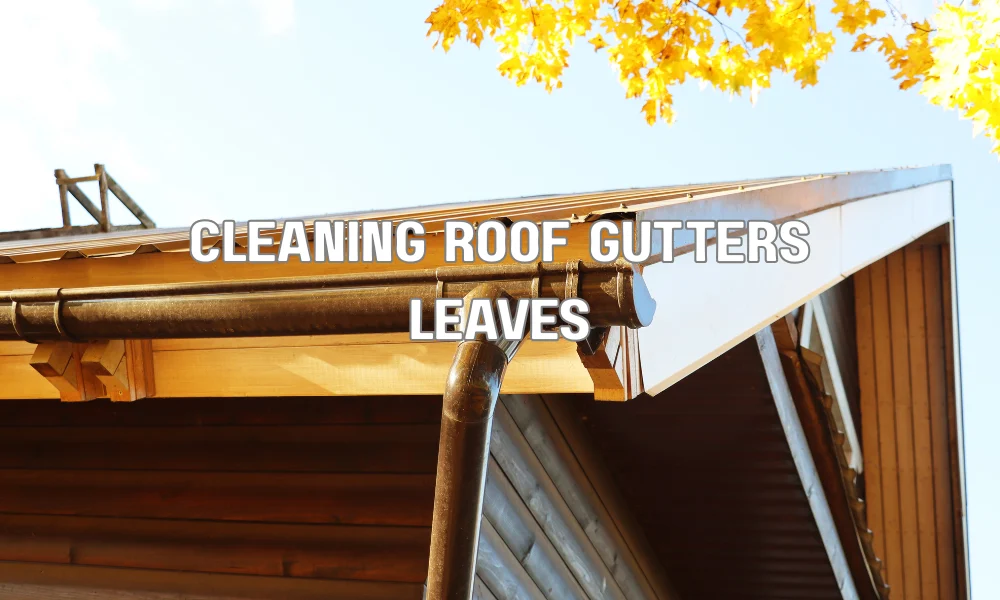 Homeowner removing leaves and debris from roof gutters to prepare for a roof inspection
