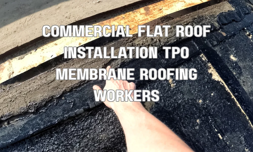 Commercial roofing contractors installing TPO membrane on a flat roof in Broward County