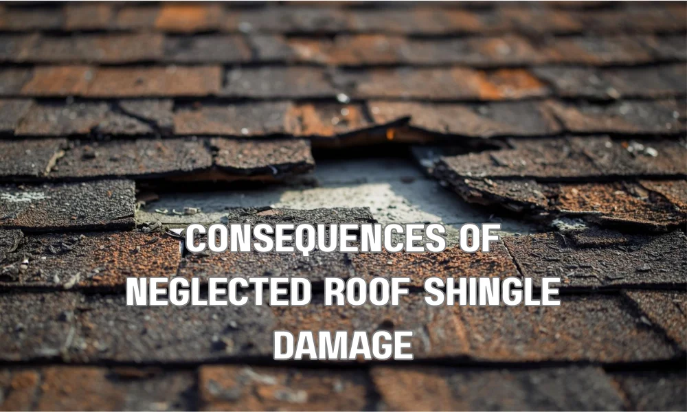 A detailed infographic showing the cascading negative consequences of a small, unaddressed roof shingle leak, including water damage to decking, attic insulation saturation, interior ceiling damage, toxic mold growth, and structural rot.
