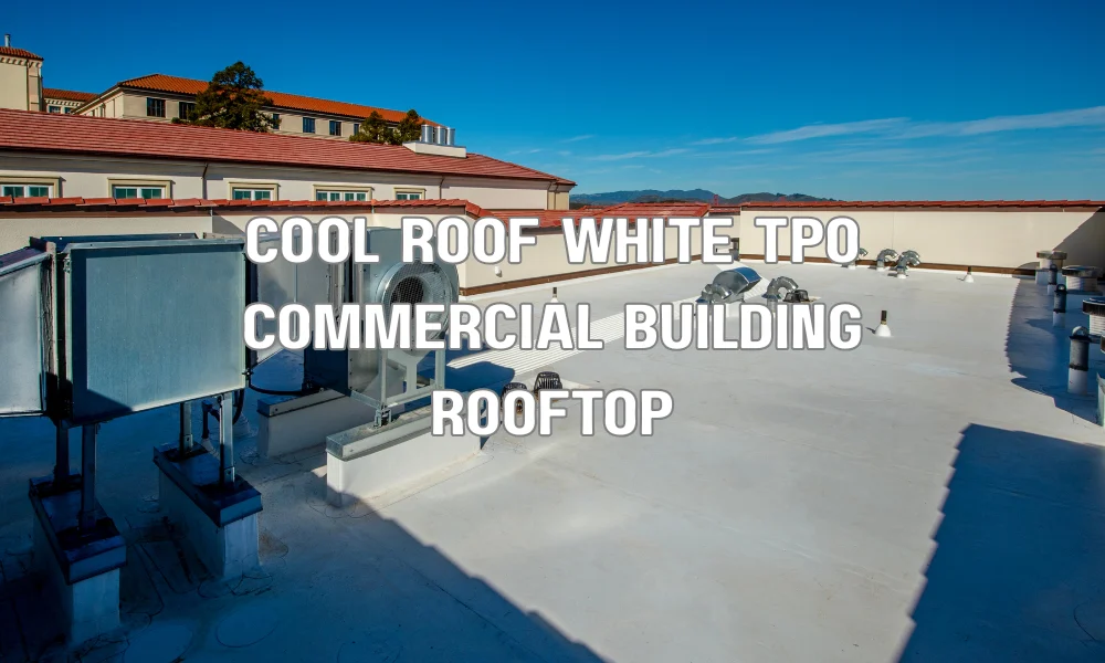 White TPO cool roof membrane on a multi-family building designed to reflect sunlight and improve energy efficiency