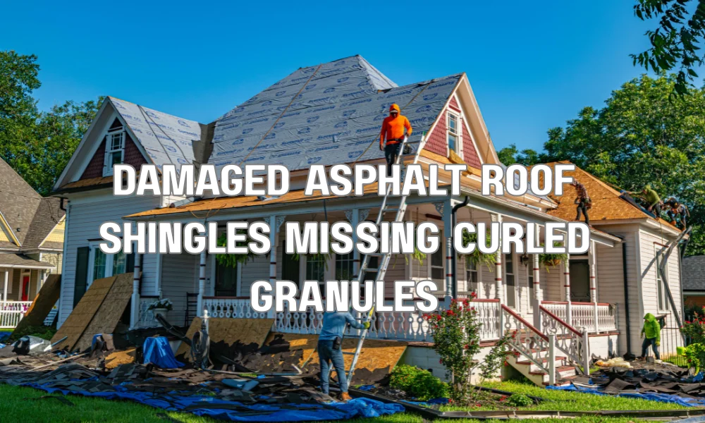 Cracked and missing asphalt shingles on a residential roof showing common signs of roof damage