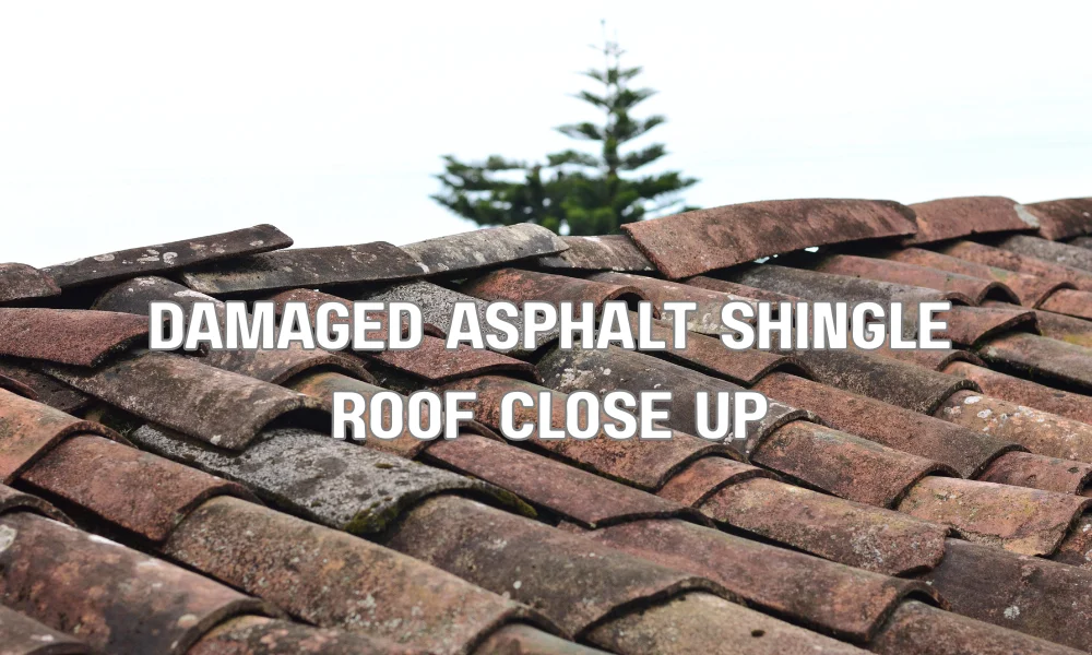 Close-up of damaged asphalt roof shingles showing granule loss, curling, and wear indicating the need for roof replacement