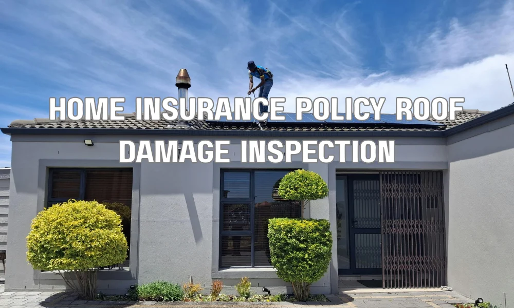 Homeowner reviewing roof insurance policy while inspecting storm-damaged roof
