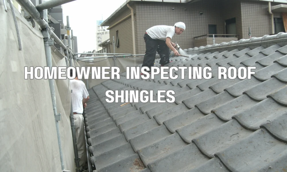 Homeowner performing a roof maintenance inspection and checking shingles to prevent damage.