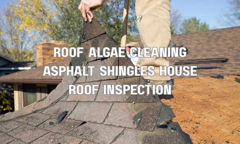 Black algae streaks being cleaned from asphalt roof shingles on a residential home in a humid climate