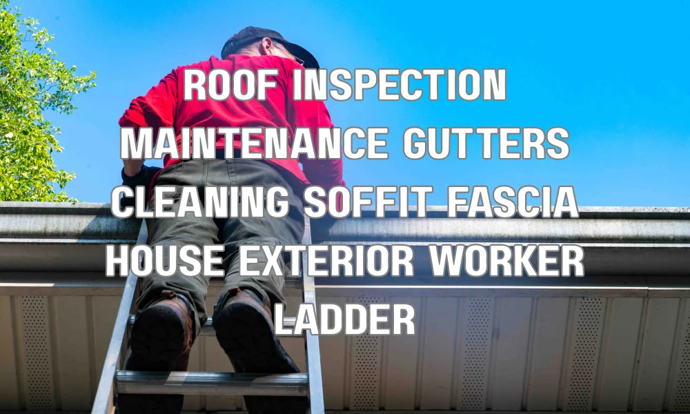 Homeowner inspecting roof overhang, cleaning gutters and checking soffit and fascia for maintenance