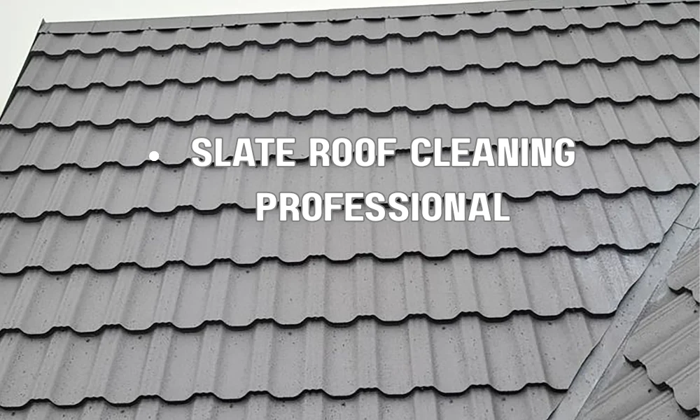 Professional gently cleaning and inspecting slate roof tiles to prevent mold, algae, and weather damage