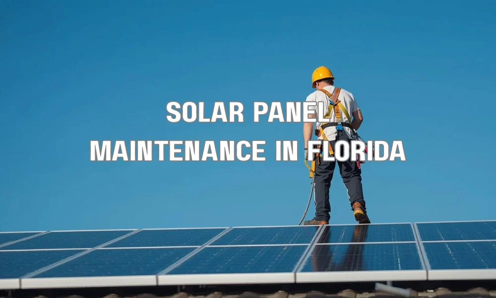 A professional technician performing a routine inspection and cleaning of residential solar panels to ensure peak performance.