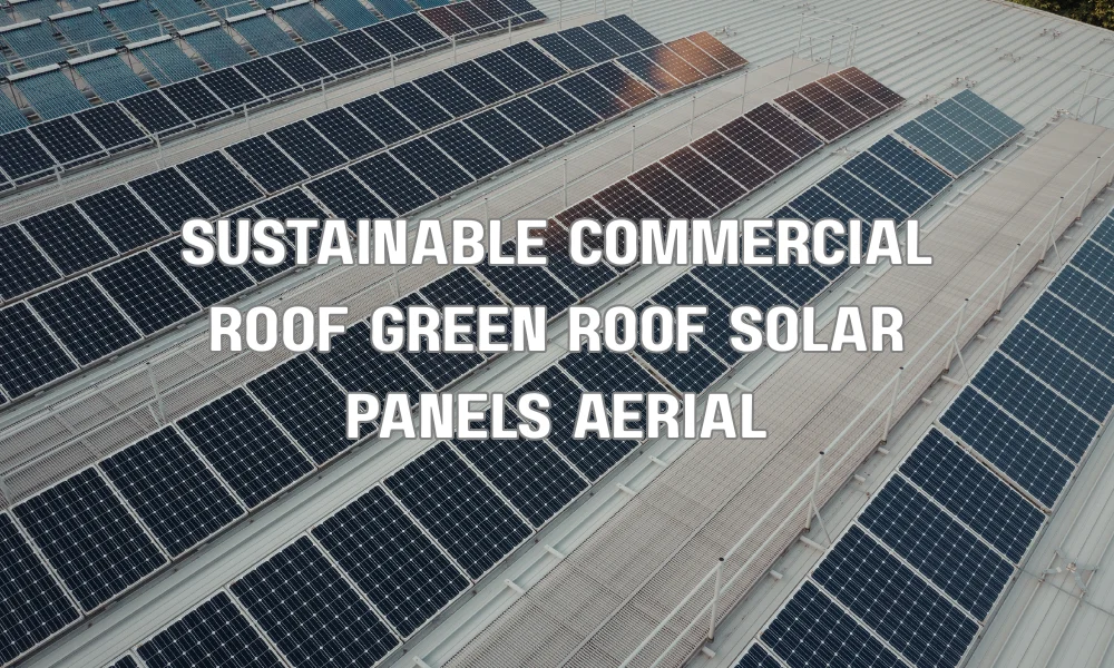 Sustainable commercial roofing with green roof vegetation and solar panels on a modern building
