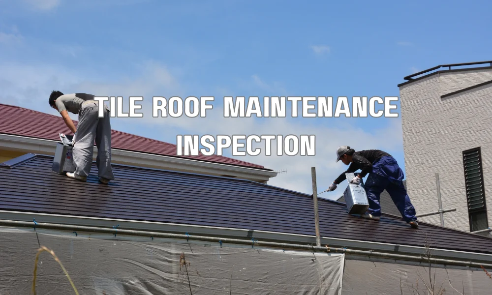 Professional inspecting and maintaining clay or concrete tile roof to prevent mold, mildew, and damaged tiles in humid climates