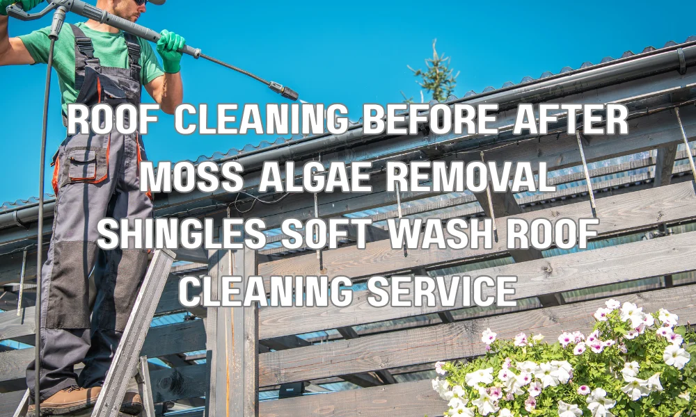 Before and after roof cleaning showing removal of moss and algae from asphalt shingles
