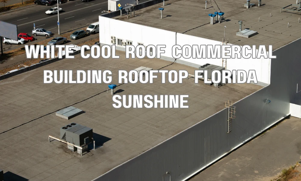 Cool roof on a Florida commercial building designed to reduce energy costs and reflect solar heat