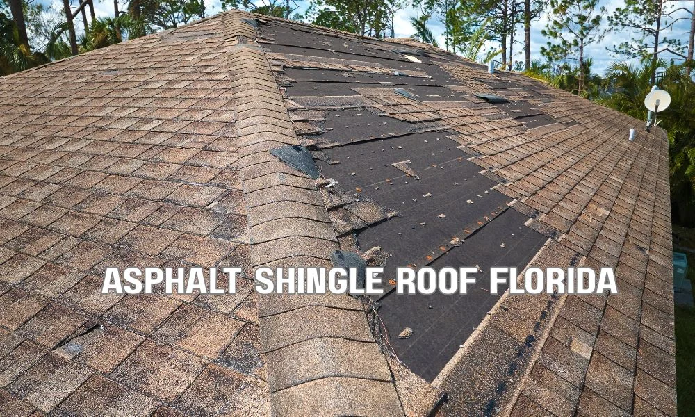Florida residential roof with visible sun exposure and storm clouds, illustrating how regular roof inspections and maintenance help extend roof lifespan in harsh weather conditions.