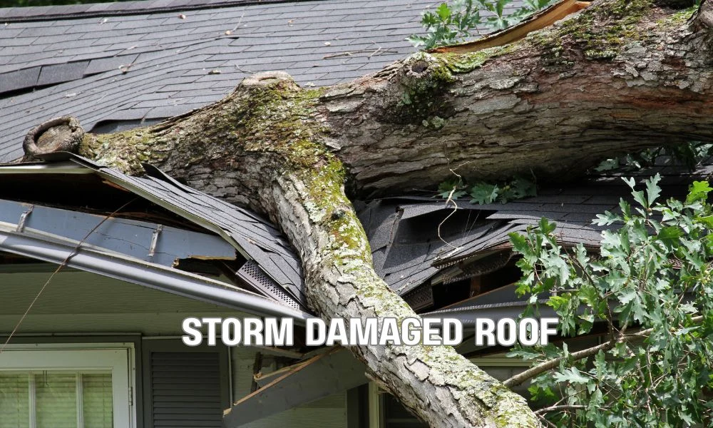 Florida home with severe roof damage after a hurricane, exposing structural failure caused by inadequate roof fastening and wind uplift.