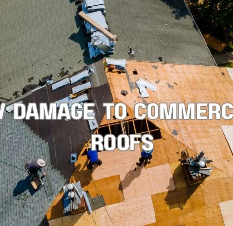 Florida commercial roof exposed to heat, UV radiation, humidity, and salt air causing accelerated roof aging
