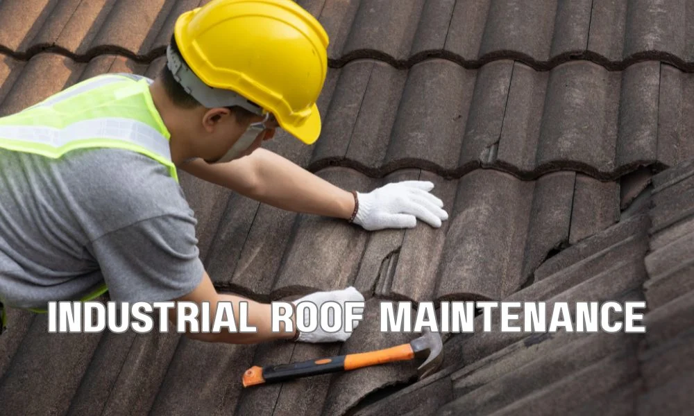 Commercial roof restoration using reflective fluid-applied roof coatings on a large flat commercial building under clear blue skies. Silicone, acrylic, and urethane coatings improve waterproofing, energy efficiency, and extend roof lifespan.