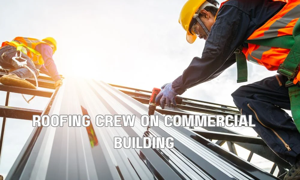 Professional commercial roofing contractors installing a new flat roof on a business building while following safety procedures and using modern roofing equipment.