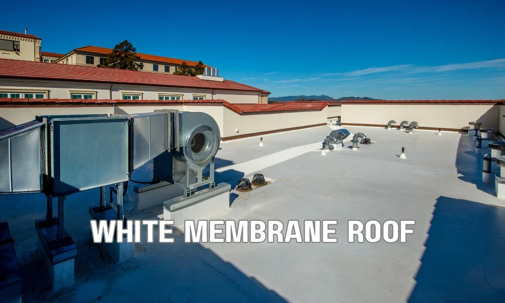 Commercial roofing technician performing preventative maintenance on a white TPO roof, inspecting seams, drains, and flashing under a clear Florida sky. Clean rooftop with maintenance tools, emphasizing routine inspections, durability, and long-term roof performance.