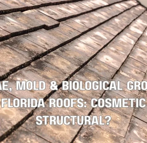 Algae, Mold & Biological Growth on Florida Roofs: Cosmetic or Structural?