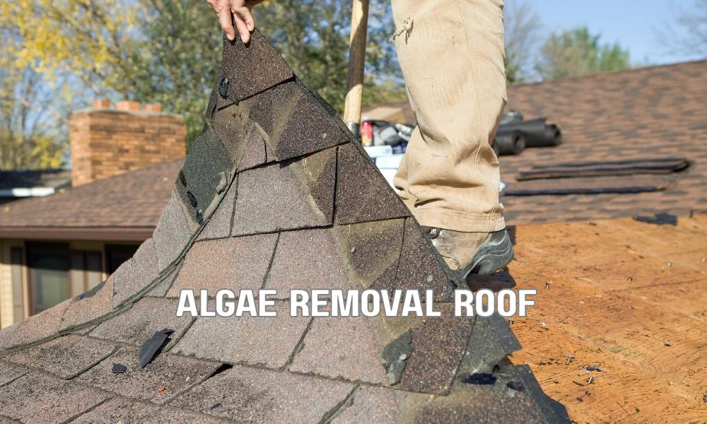 Professional roofer performing soft washing on a Florida residential roof using low-pressure equipment while removing algae and mold, with copper roof strips installed along the ridge under a clear sunny sky.