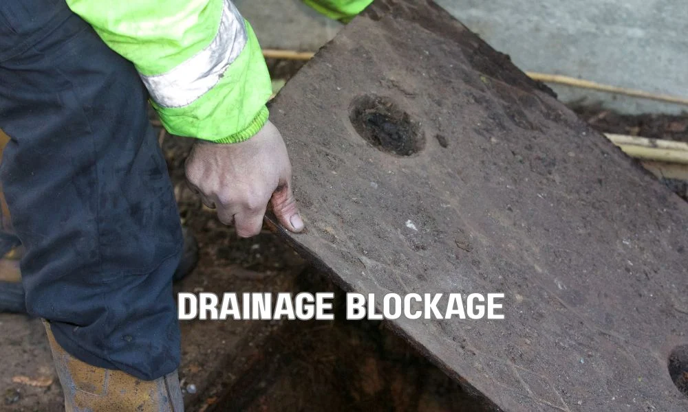 Commercial flat roof drain clogged with leaves, twigs, dirt, gravel, and debris causing standing water around the drainage system during a roof inspection.