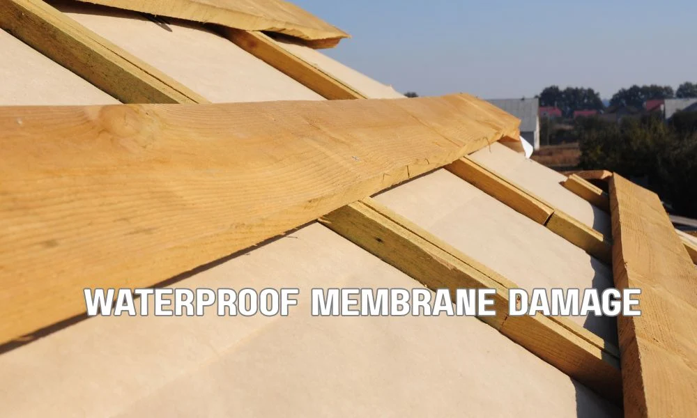 lose-up of a commercial flat roof showing scattered large moisture blisters and clusters of smaller, firm roofing membrane blisters during a professional roof inspection.